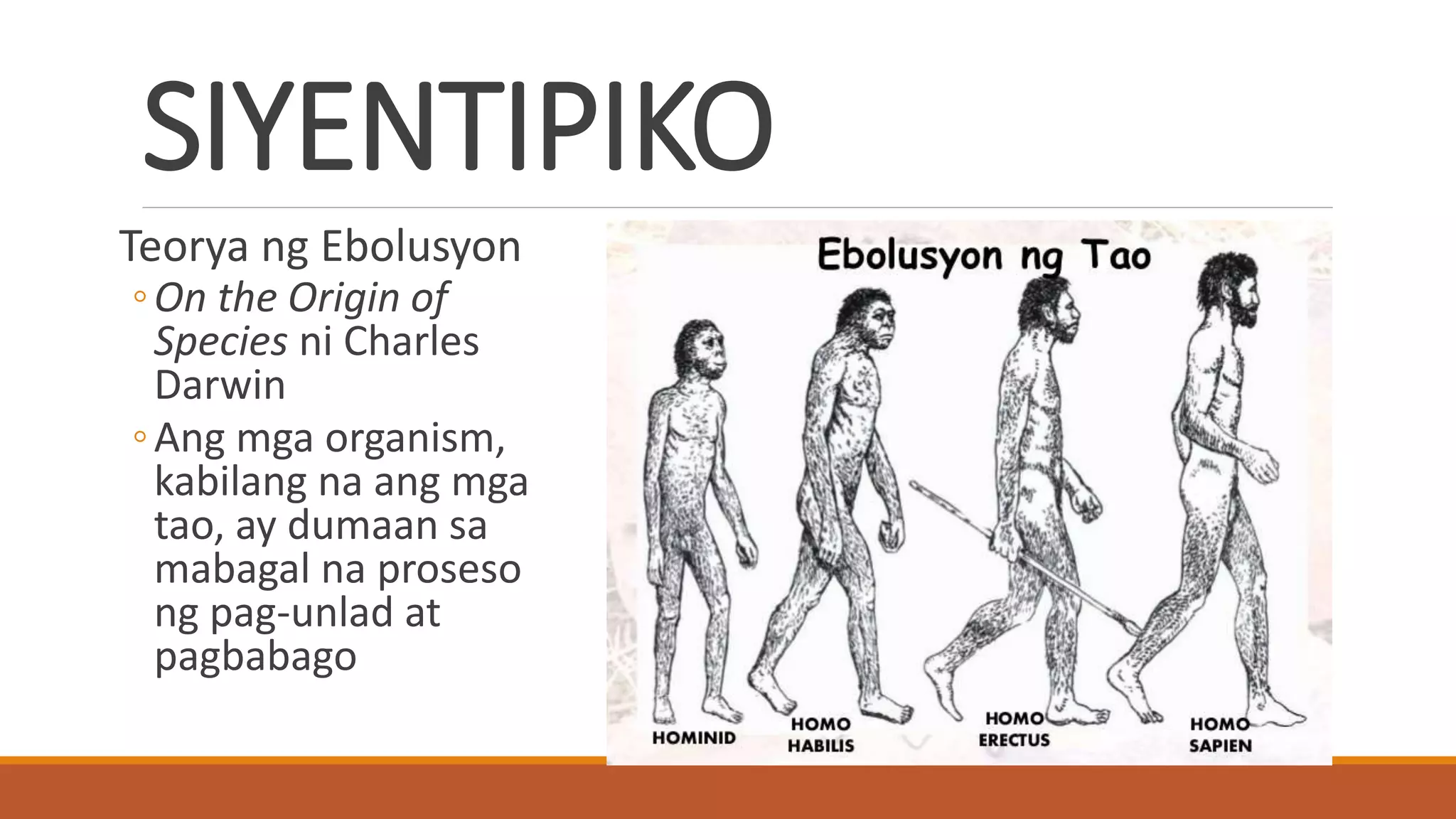 Ang Pinagmulan ng Tao | PPTX
