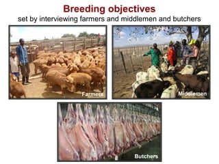 Animal genetic resources for improved productivity under harsh environmental conditions