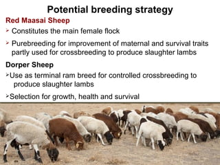 Animal genetic resources for improved productivity under harsh environmental conditions