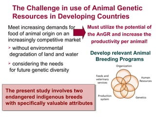 Animal genetic resources for improved productivity under harsh environmental conditions