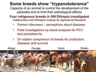 Animal genetic resources for improved productivity under harsh environmental conditions