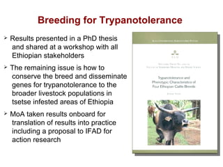 Animal genetic resources for improved productivity under harsh environmental conditions