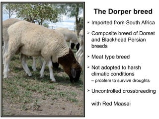 Animal genetic resources for improved productivity under harsh environmental conditions