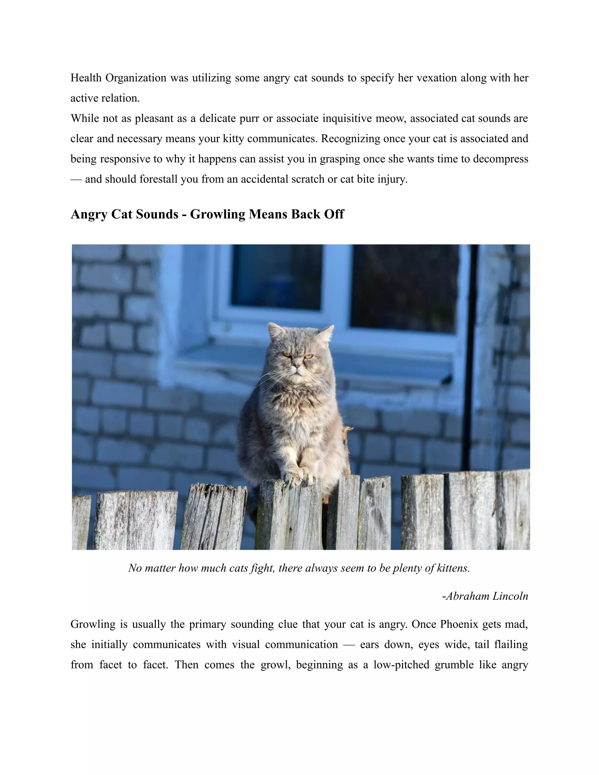 Angry Cat Sounds Pdf