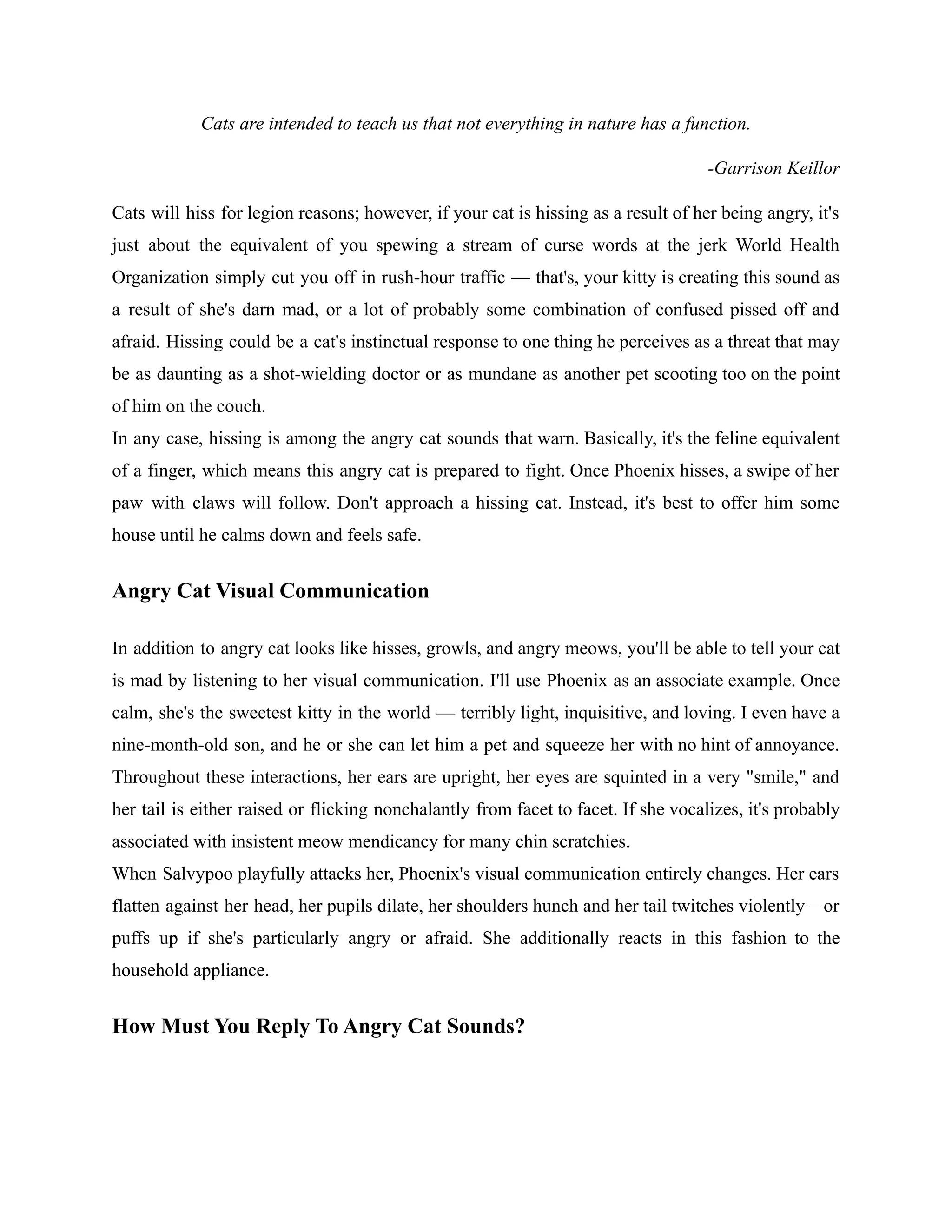 Angry Cat Sounds Pdf