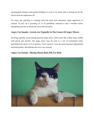 Angry Cat Sounds Pdf