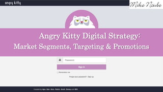 Angry Kitty Digital Strategy:
Market Segments, Targeting & Promotions
 