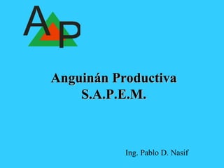 Anguinán ProductivaAnguinán Productiva
S.A.P.E.M.S.A.P.E.M.
Ing. Pablo D. Nasif
APAn guin an Prod u ctiva S .A.P.E .M .
 