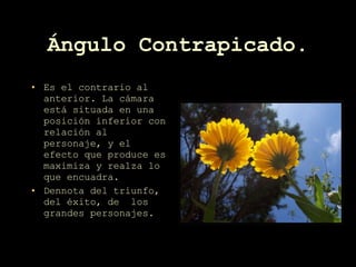 Ángulo Contrapicado. Es el contrario al anterior. La cámara está situada en una posición inferior con relación al personaje, y el efecto que produce es maximiza y realza lo que encuadra. Dennota del triunfo, del éxito, de  los grandes personajes. 