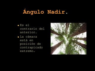 Ángulo   Nadir .   Es el contrario del anterior. La cámara está en posición de contrapicado extremo.  