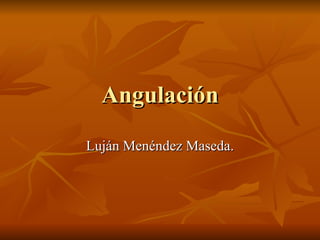 Angulación Luján Menéndez Maseda. 