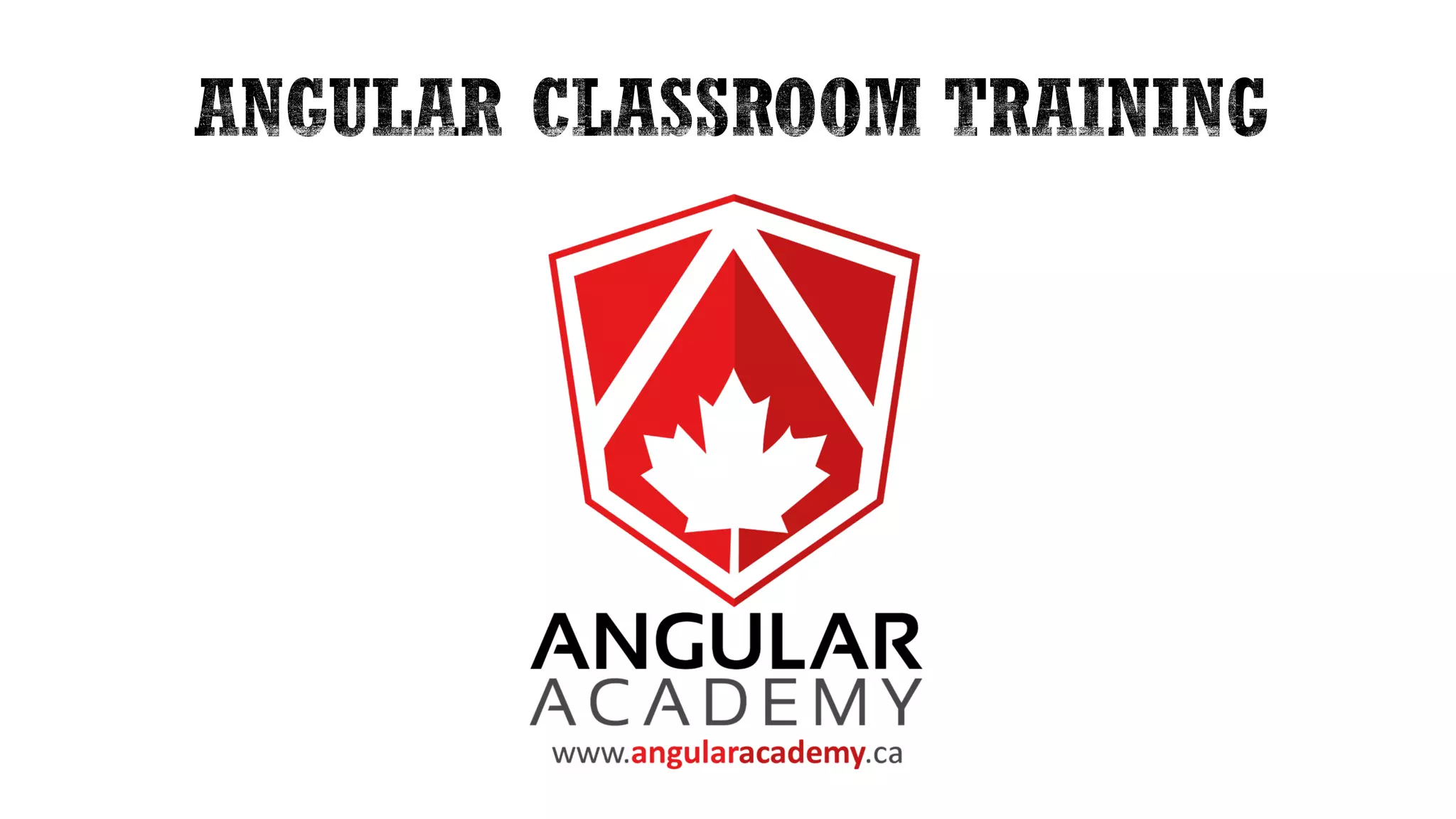 Introduction to Angular for .NET Developers