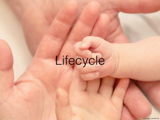 Lifecycle
Im Lebenszyklus einer Component gibt es verschiedene
Phase. Für jede dieser Phasen gibt es einen Hook, für den
m...