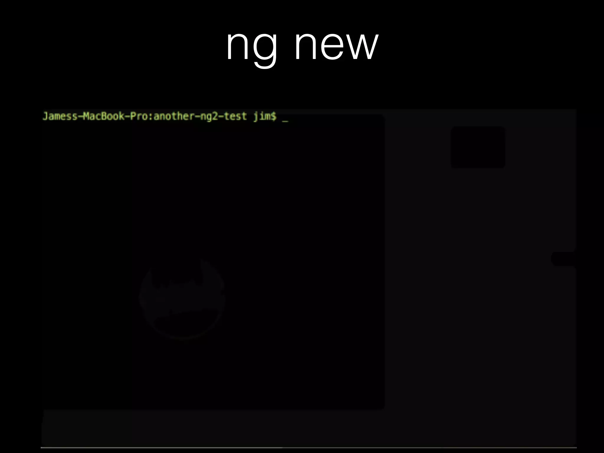 ng new 