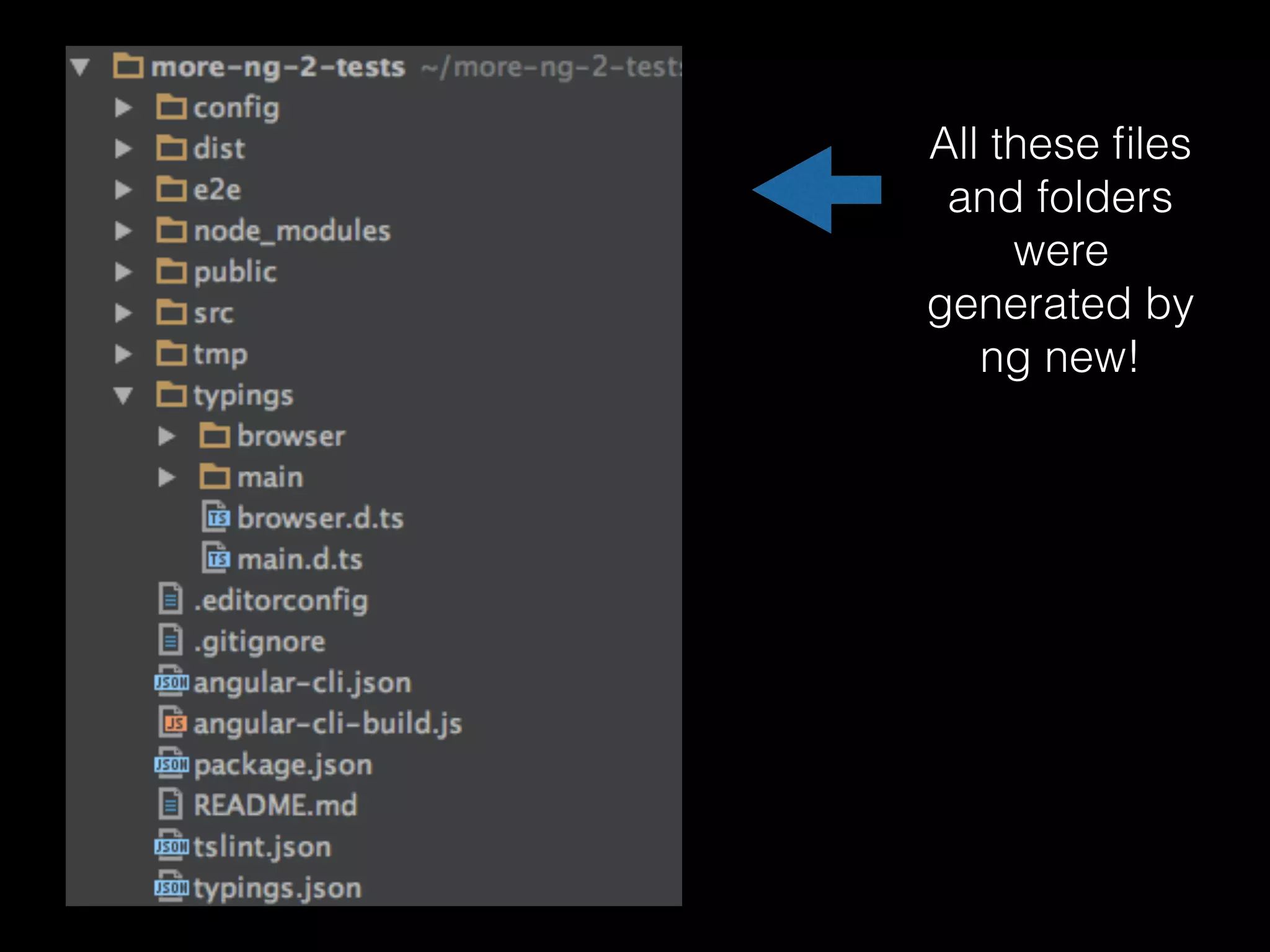 All these ﬁles and folders were generated by ng new! 