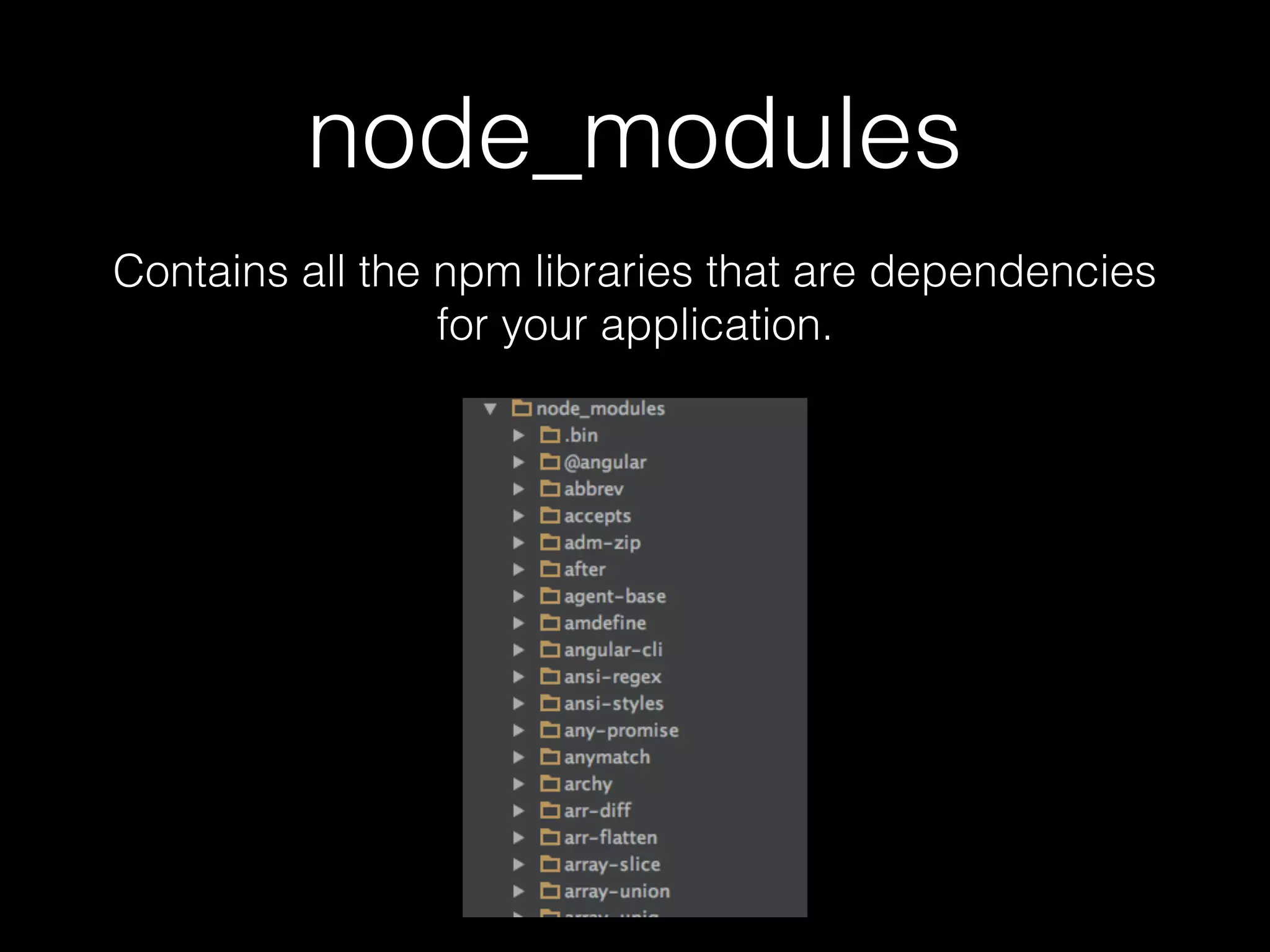 node_modules Contains all the npm libraries that are dependencies for your application. 