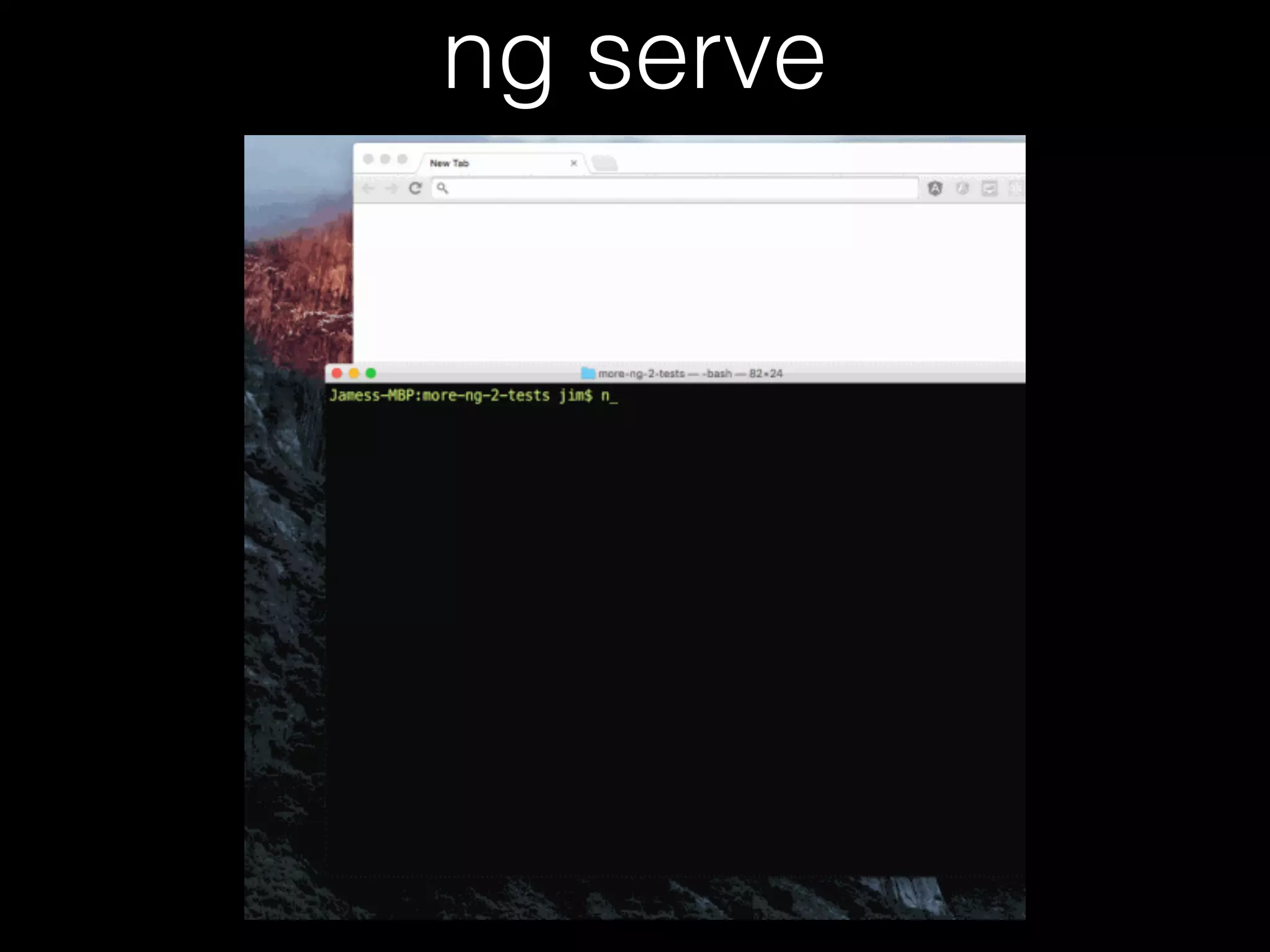 ng serve 