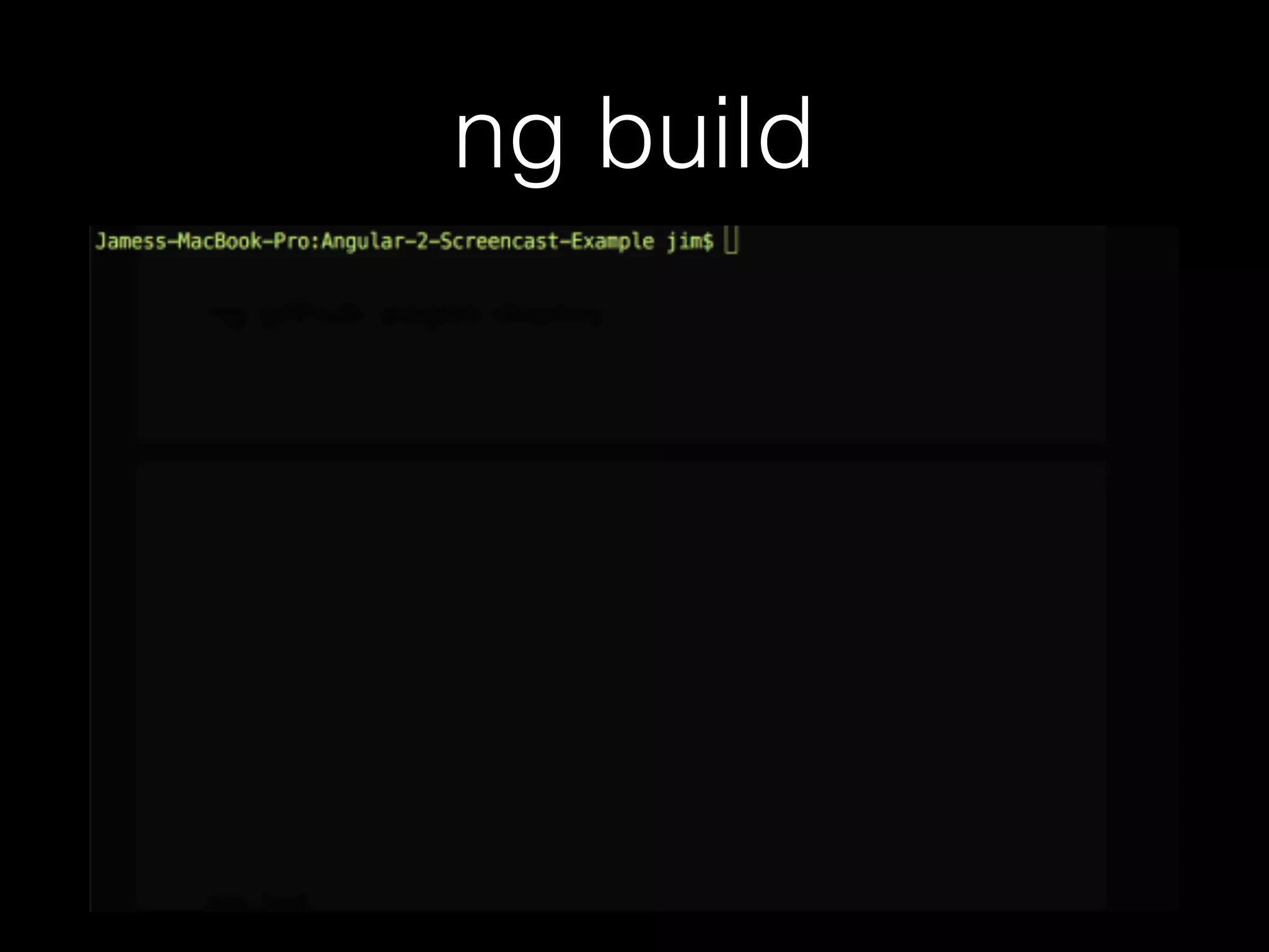 ng build 