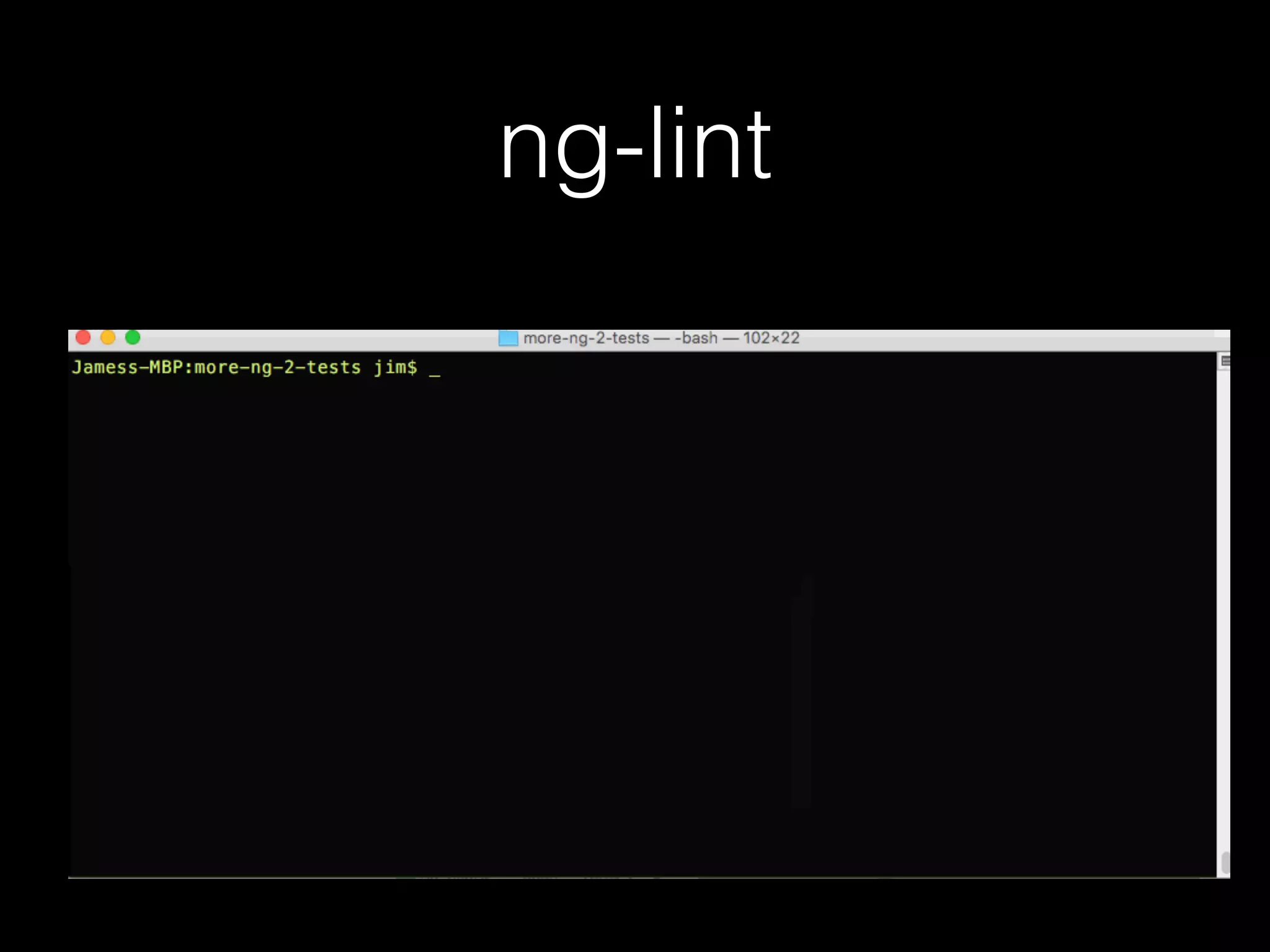 ng-lint 