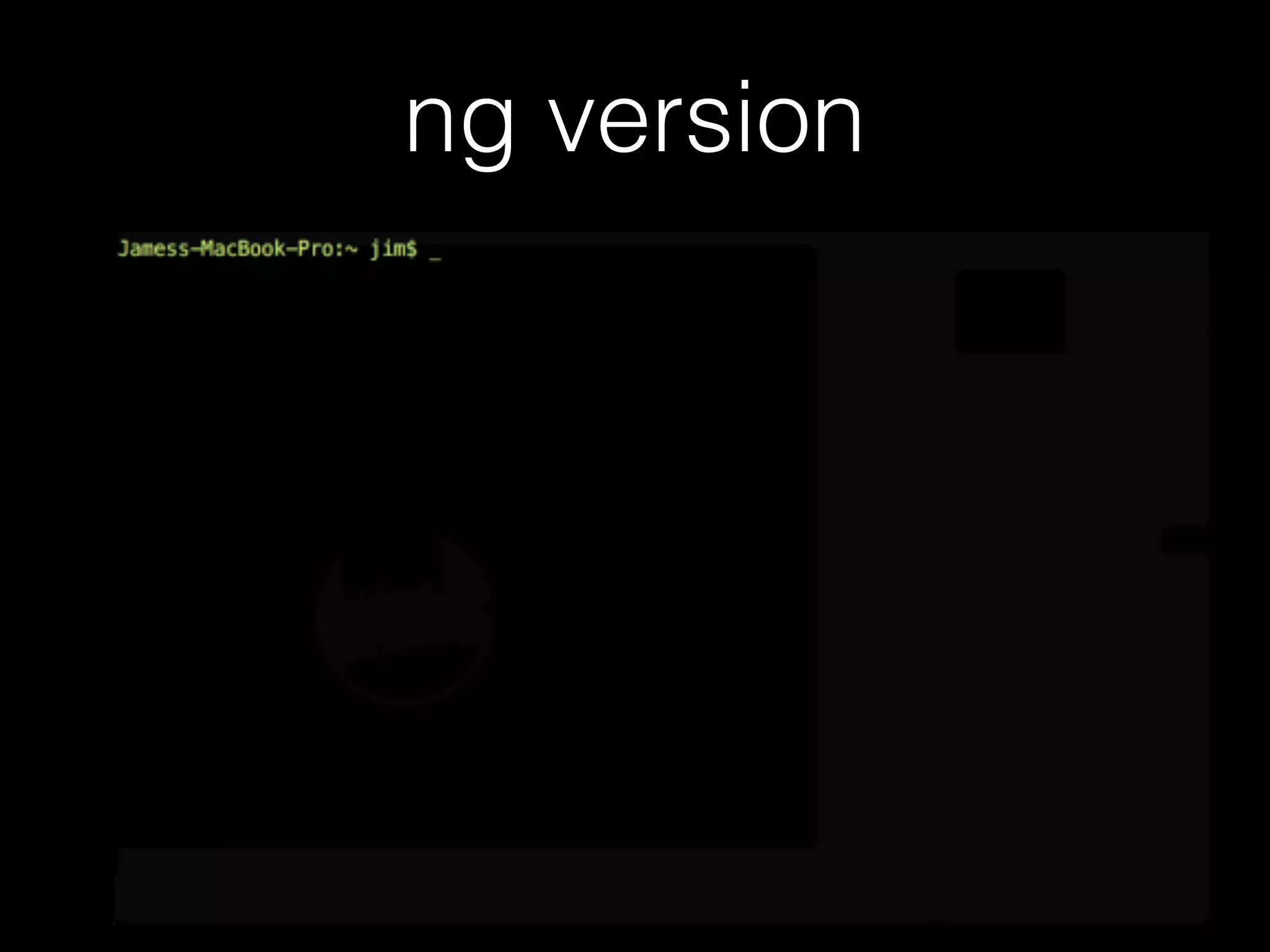 ng version 