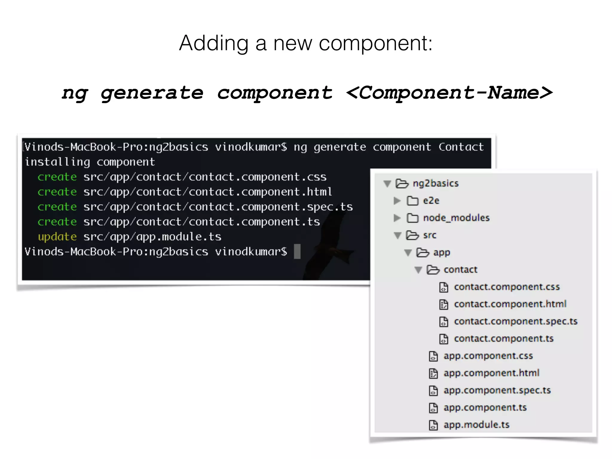 Adding a new component:
ng generate component <Component-Name>
 