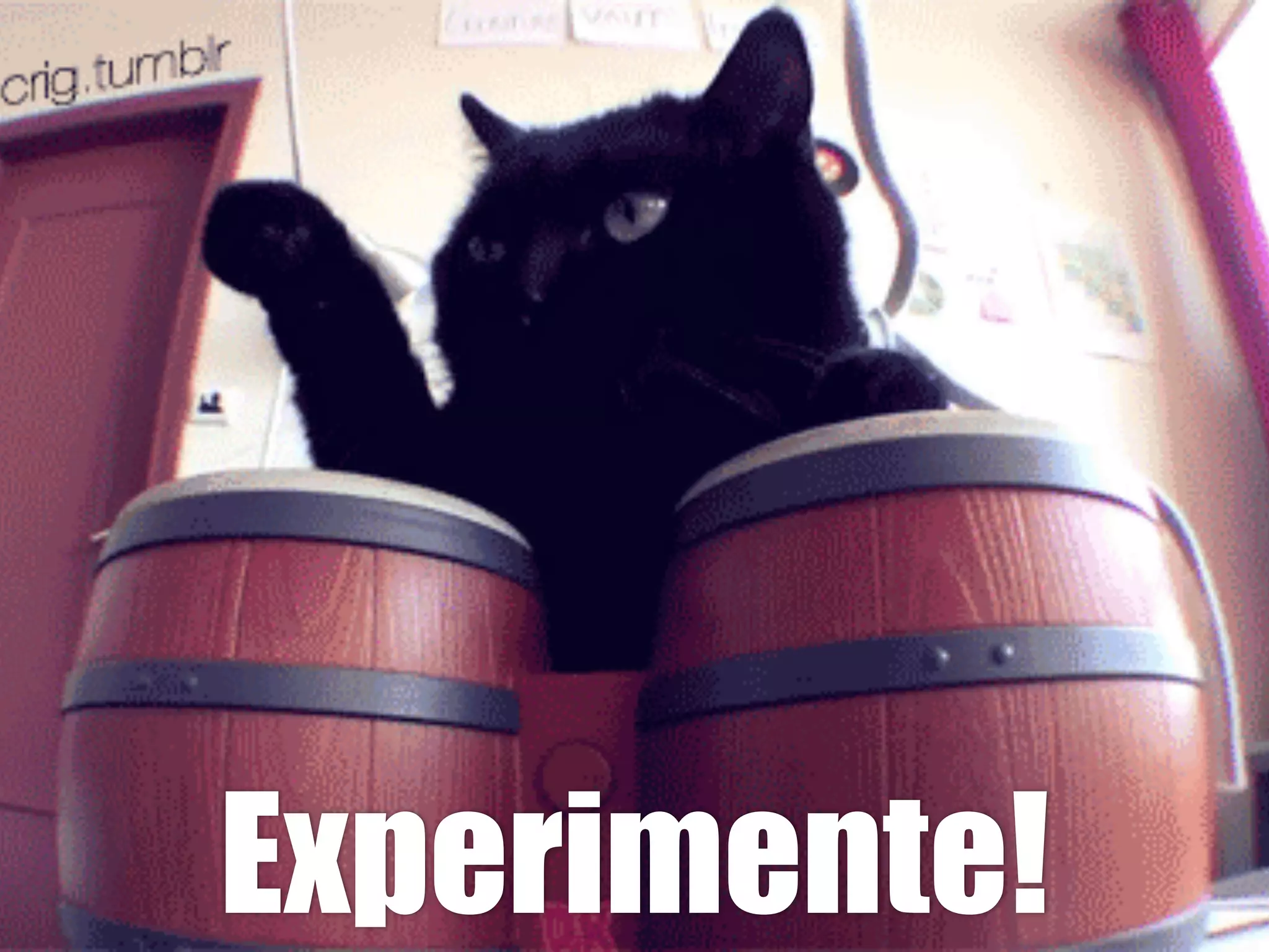 Experimente!
 