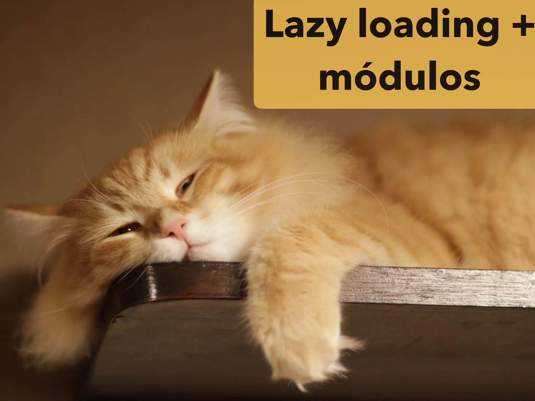 Lazy loading +
módulos
 