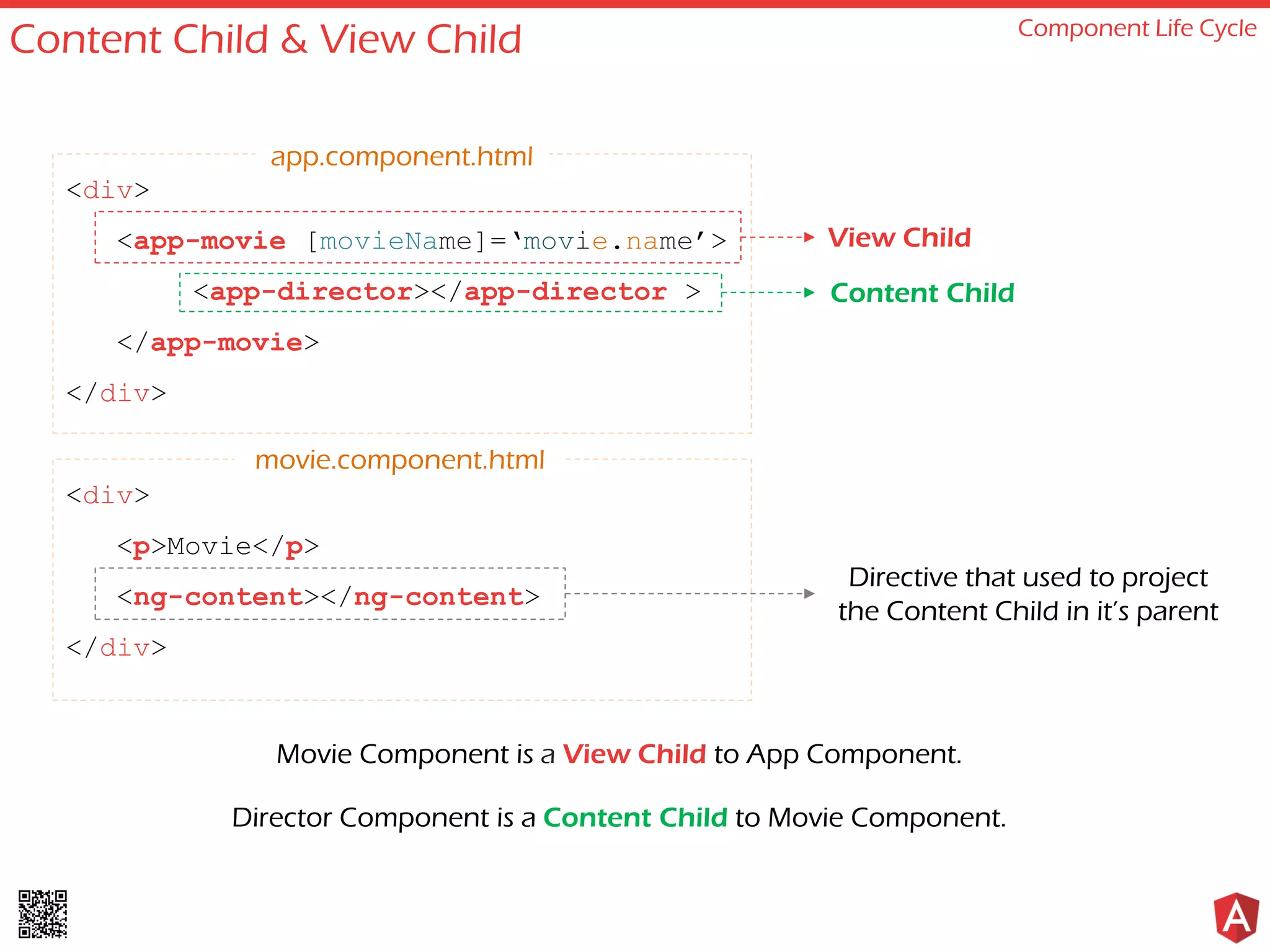 Content Child & View Child Component Life Cycle <div> <app-movie [movieName]=‘movie.name’> <app-director></app-director > </app-movie> </div> <div> <p>Movie</p> <ng-content></ng-content> </div> app.component.html movie.component.html Movie Component is a View Child to App Component. Director Component is a Content Child to Movie Component. View Child Content Child Directive that used to project the Content Child in it’s parent 