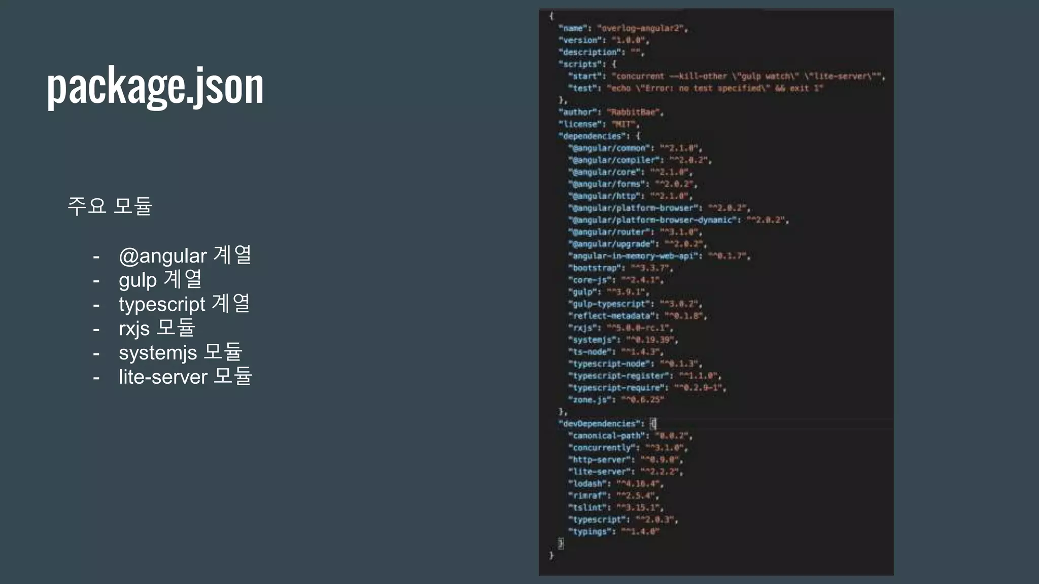 package.json
주요 모듈
- @angular 계열
- gulp 계열
- typescript 계열
- rxjs 모듈
- systemjs 모듈
- lite-server 모듈
 