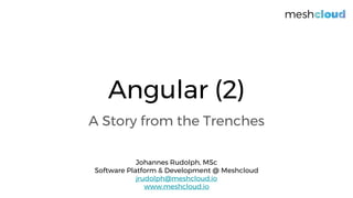Angular (2)
A Story from the Trenches
Johannes Rudolph, MSc
Software Platform & Development @ Meshcloud
jrudolph@meshcloud.io
www.meshcloud.io
 