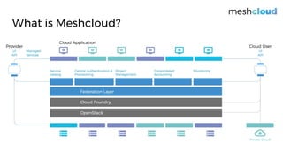 What is Meshcloud?
 