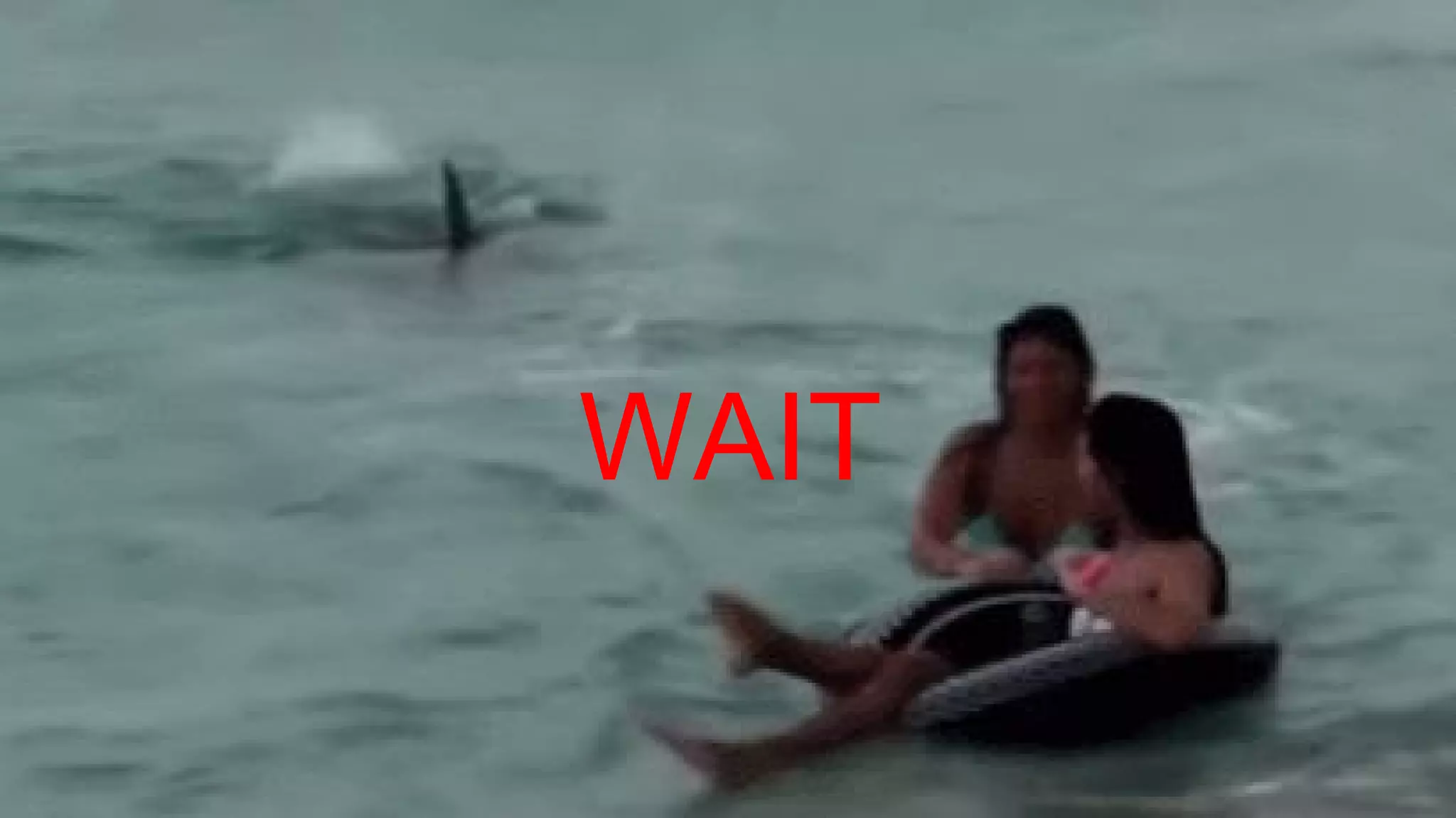 WAIT
 