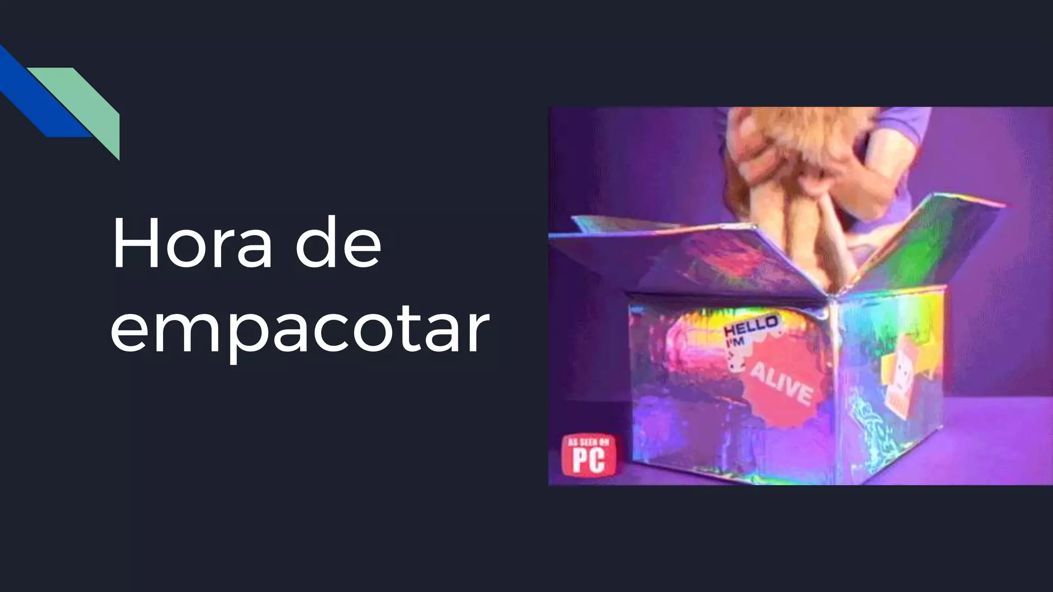 #pracegover: imagem de uma pessoa
empacotando um gato muito fofo e comportado em
uma caixa de papelão super bonita
Hora de
empacotar
 