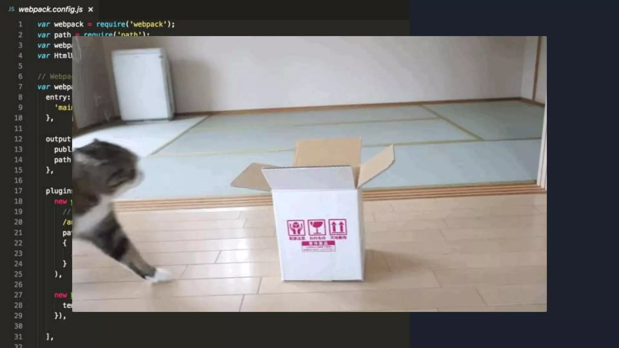 Toda vez que eu tento mexer com webpack
eu me sinto como o Maru
Será que a CLI me ajuda com isso?
#pracegover: imagem animada do gatinho
Maru (um gato youtuber) tentando pular
dentro de caixas de papelão e falhando.
Após várias tentativas e ajeitando-se ali e
aqui ele consegue.
 