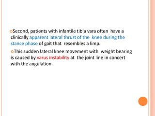 Second, patients with infantile tibia vara often have a
clinically apparent lateral thrust of the knee during the
stance phase of gait that resembles a limp.
This sudden lateral knee movement with weight bearing
is caused by varus instability at the joint line in concert
with the angulation.
 