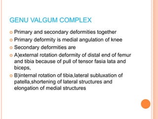 GENU VALGUM COMPLEX
 Primary and secondary deformities together
 Primary deformity is medial angulation of knee
 Secondary deformities are
 A)external rotation deformity of distal end of femur
and tibia because of pull of tensor fasia lata and
biceps,
 B)internal rotation of tibia,lateral subluxation of
patella,shortening of lateral structures and
elongation of medial structures
 