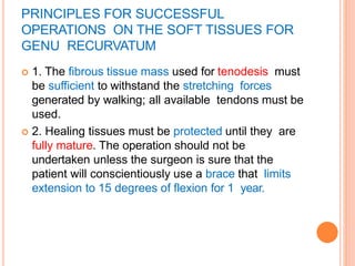 PRINCIPLES FOR SUCCESSFUL
OPERATIONS ON THE SOFT TISSUES FOR
GENU RECURVATUM
 1. The fibrous tissue mass used for tenodesis must
be sufficient to withstand the stretching forces
generated by walking; all available tendons must be
used.
 2. Healing tissues must be protected until they are
fully mature. The operation should not be
undertaken unless the surgeon is sure that the
patient will conscientiously use a brace that limits
extension to 15 degrees of flexion for 1 year.
 