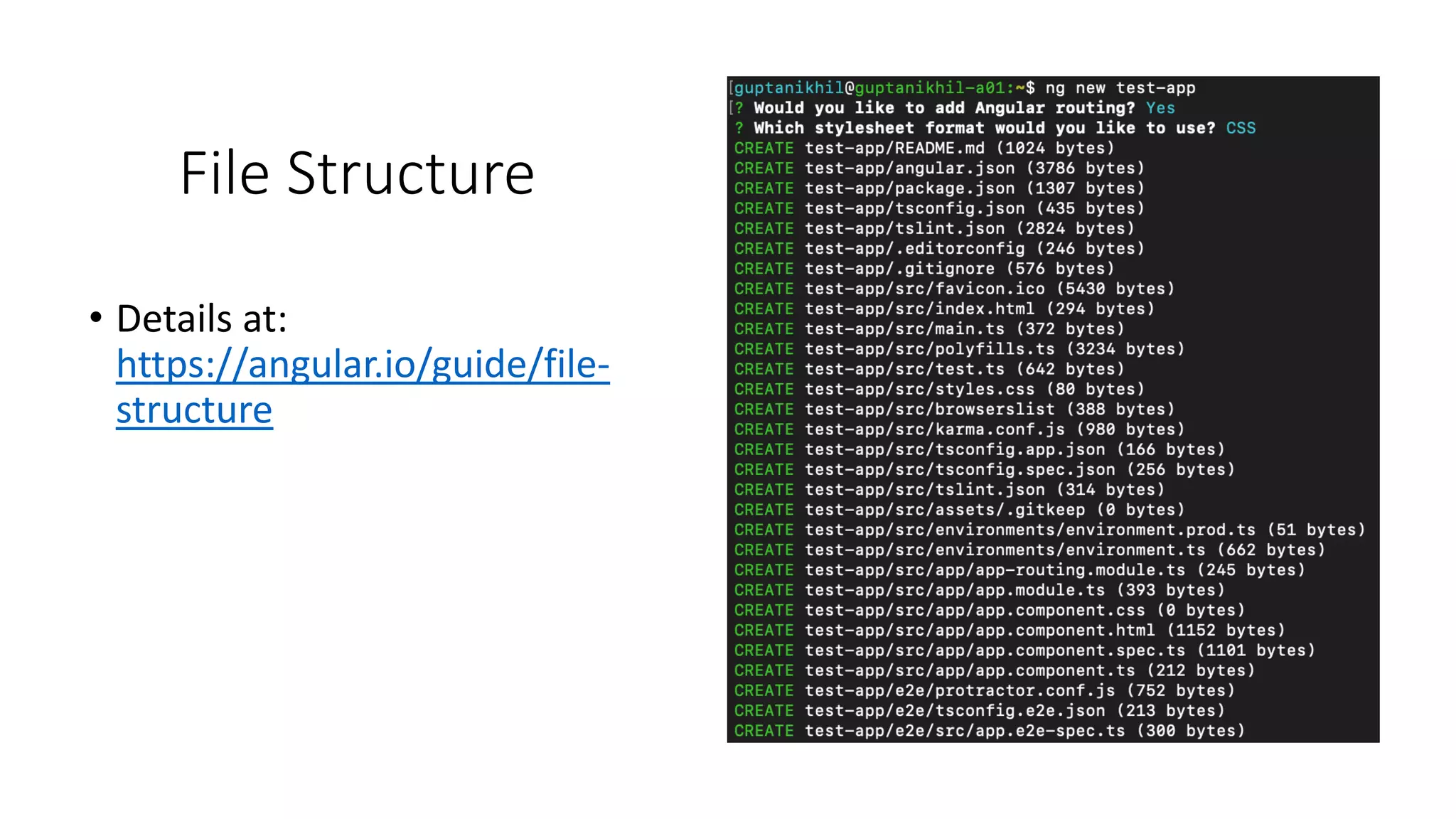 File Structure • Details at: https://angular.io/guide/file- structure 