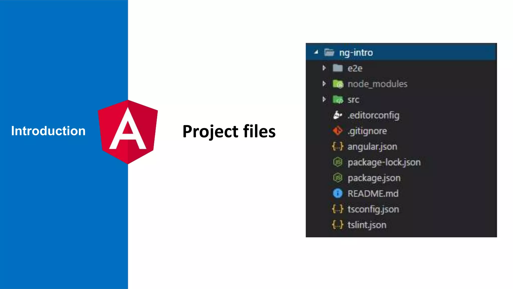 Introduction Project files 