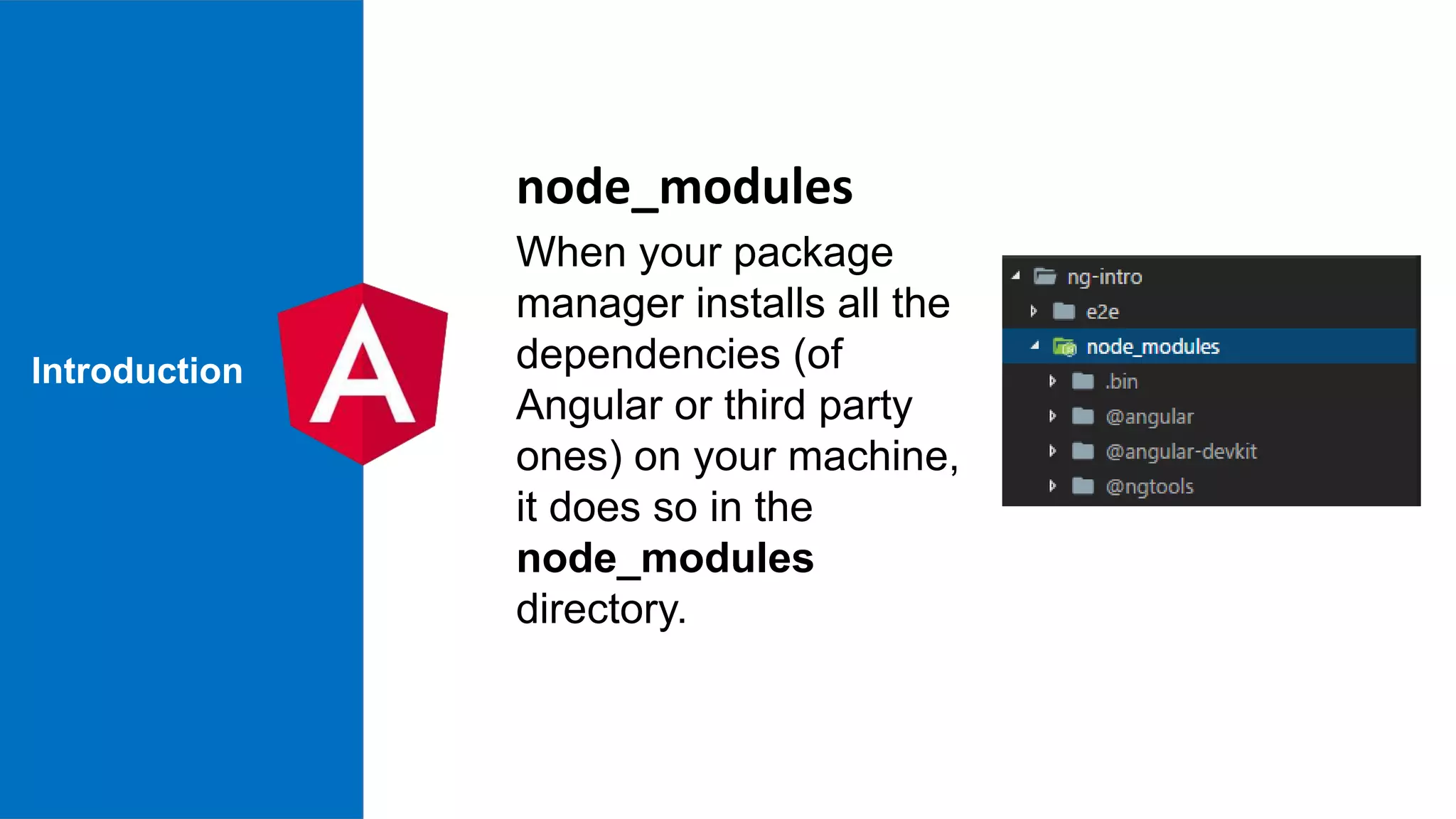 Introduction When your package manager installs all the dependencies (of Angular or third party ones) on your machine, it does so in the node_modules directory. node_modules 