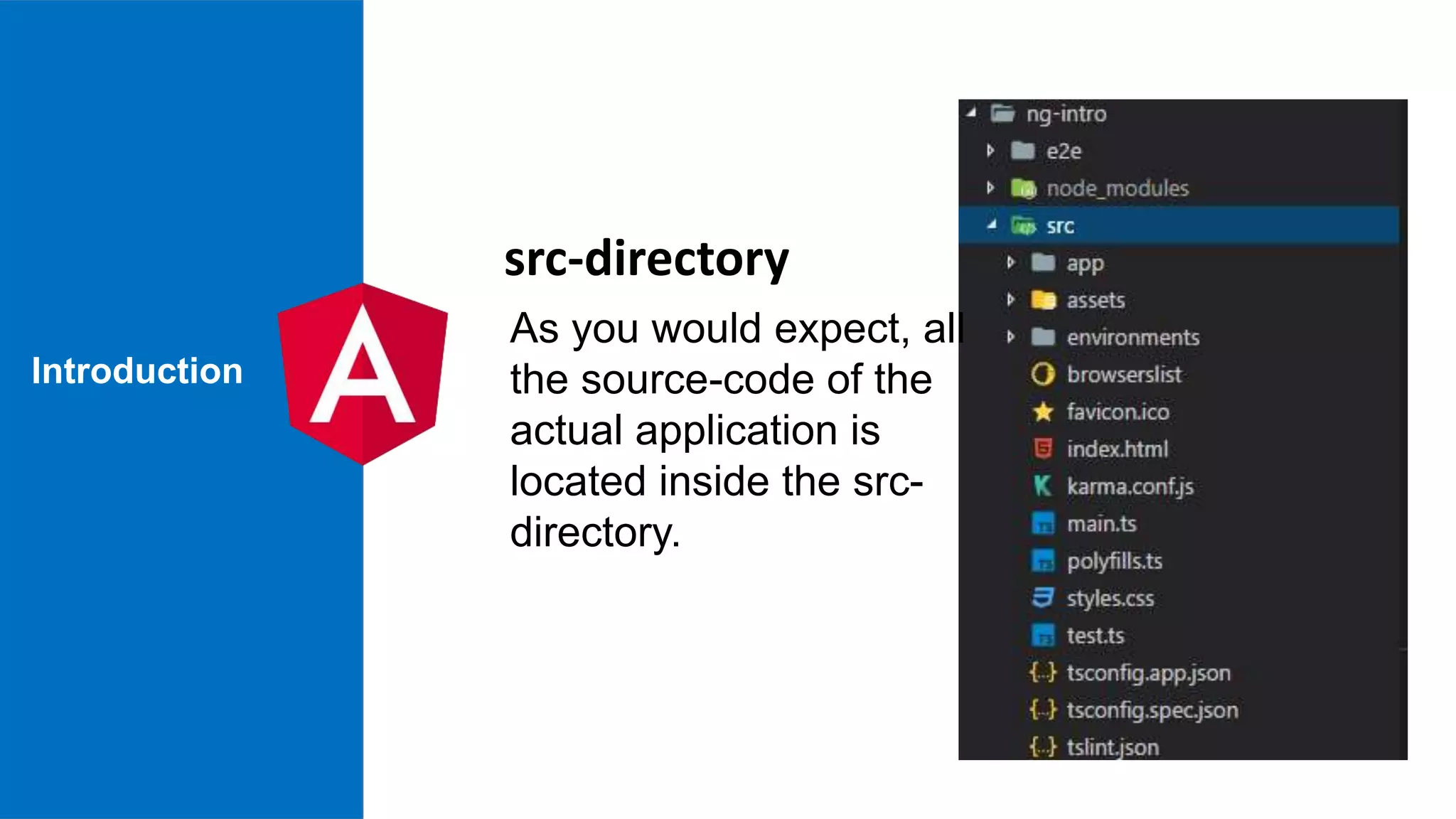 Introduction As you would expect, all the source-code of the actual application is located inside the src- directory. src-directory 