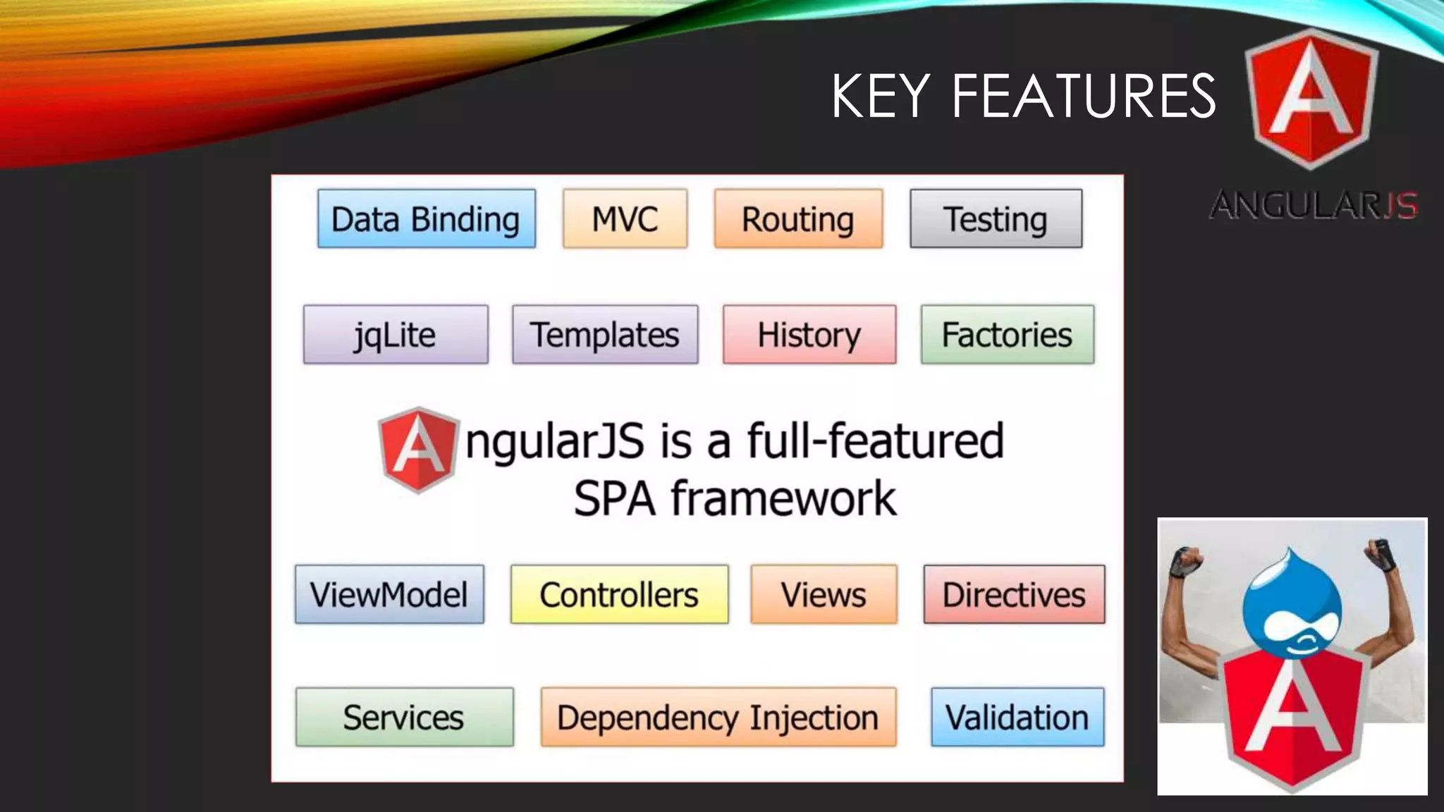 KEY FEATURES 