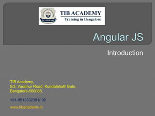 Introduction
TIB Academy,
5/3, Varathur Road, Kundalahalli Gate,
Bangalore-560066.
+91-9513332301/ 02
www.tibacademy.in
 