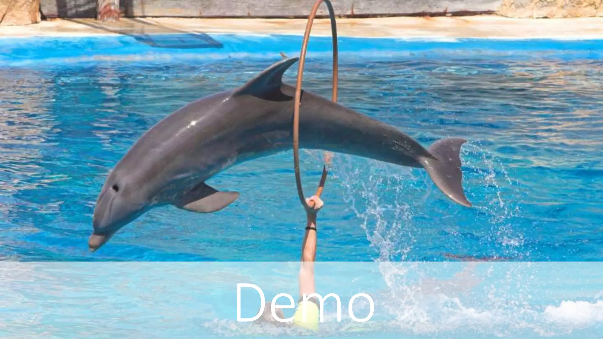 Demo
 