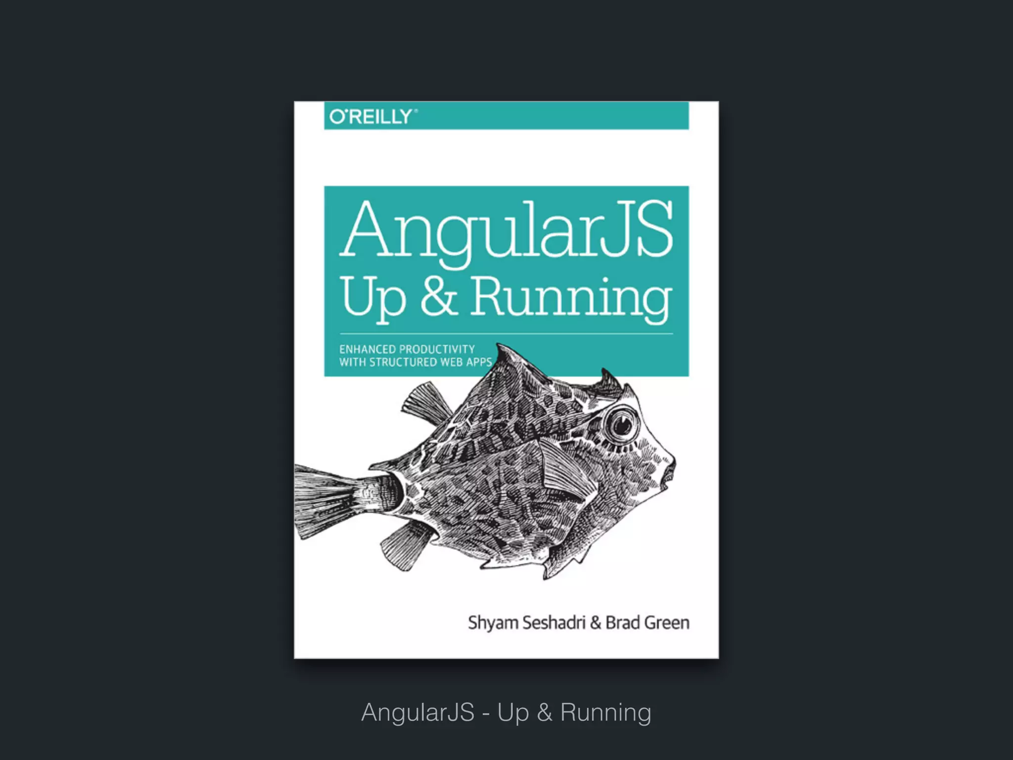 AngularJS - Up & Running 