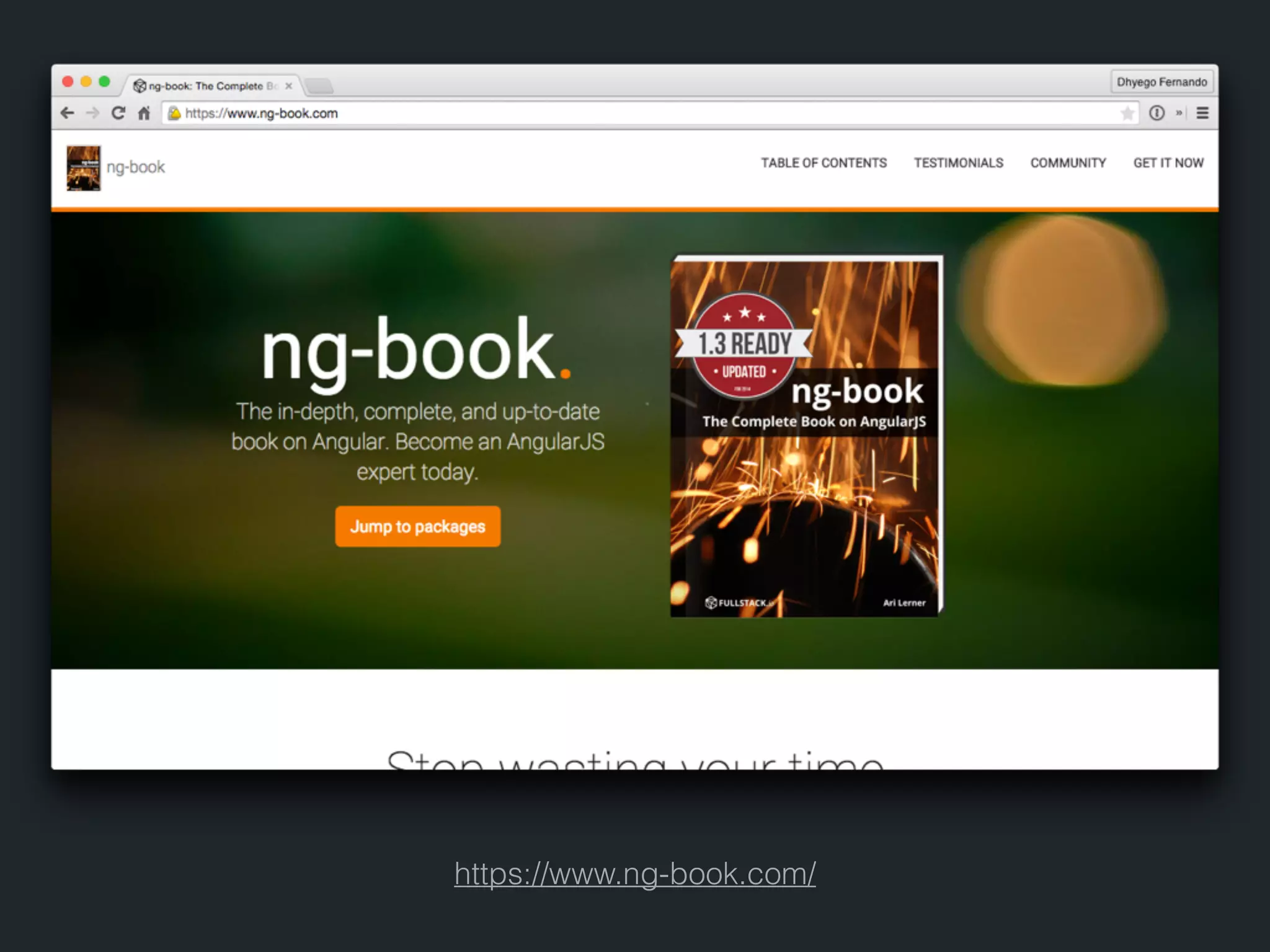 https://www.ng-book.com/ 