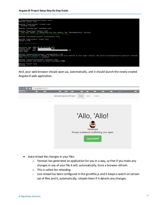 angularjs setup angularjs setup