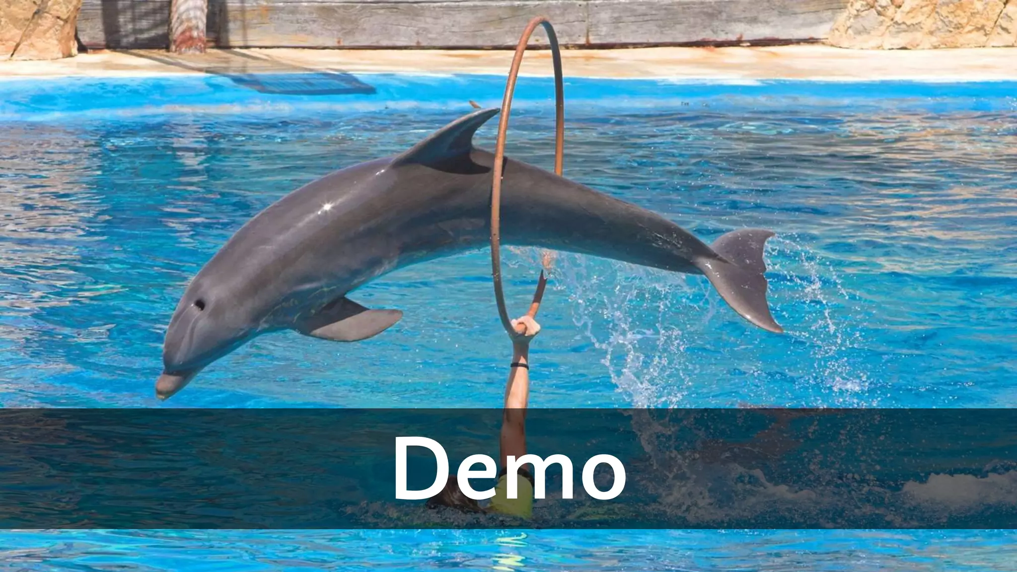 Demo 