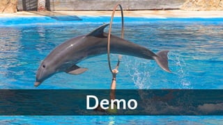 Demo
 