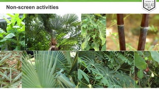 Non-screen activities 
4 
 